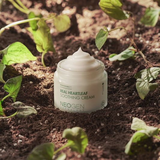 REAL HEARTLEAF SOOTHING CREAM